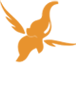 toonz-media-group